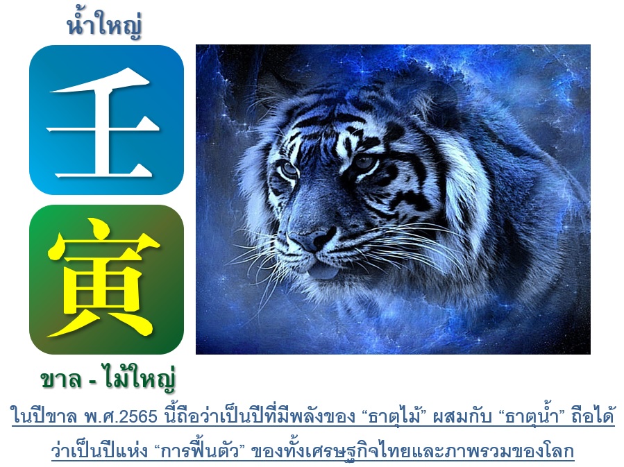 Water_Tiger_01
