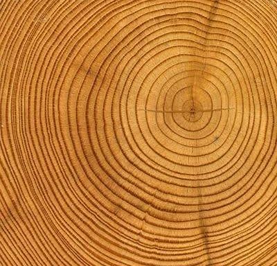 tawanfengshui-เสริมเลอค่า_002