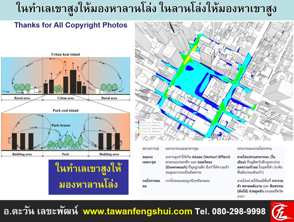 เมื่อไหร่ก็ตามที่มีสเปซที่เป็นสวนขนาดใหญ่ตั้งอยู่ท่ามกลางตึกสูง สวนนั้นจะทำหน้าที่เป็น “แอ่งสะสมกระแสพลัง” (Energy Reservoir) ทันทีครับ เพราะตามหลักฟิสิกส์ กระแสลมหรือพลังงานจะไหลจากที่สูงลงสู่ที่ต่ำเสมอ ลานโล่งของสวนจึงช่วยดักและเกลี่ยพลังงานลมที่รุนแรงให้กลับมานุ่มนวล สมดุล